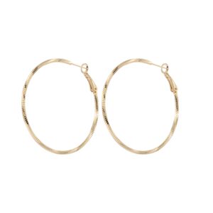 Thin Snake Texture Gold Large Hoop Earrings